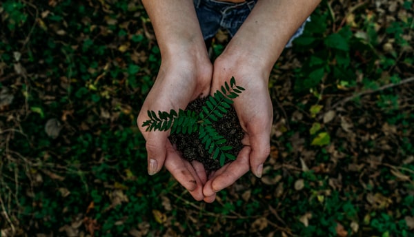 Eco-friendly natural cleaning approach